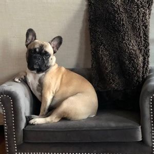 Meet your Posher, Edna